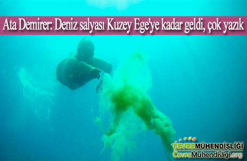 ata demirer deniz salyasi kuzey egeye kadar geldi