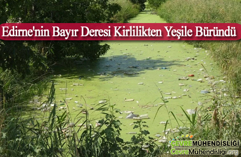 bayir deresi kirlilikten yesile burundu