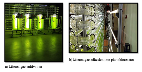 birinci adim ikinci adim 1