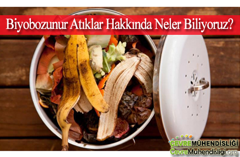 biyobozunur atiklar hakkinda neler biliyoruz