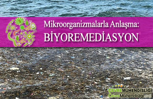 biyoremediasyon makale