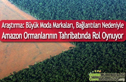 buyuk moda markalari baglantilari nedeniyle amazon ormanlarinin tahribatina neden oluyor