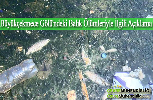 buyukcekmece golundeki balik olumleriyle ilgili aciklama