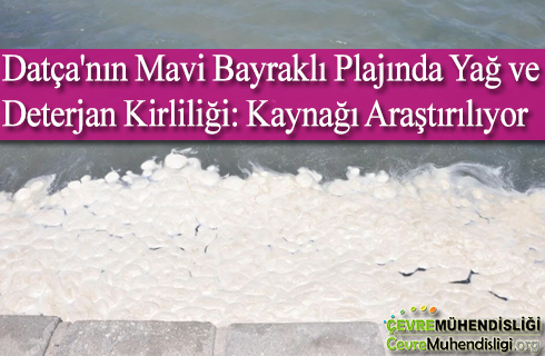 datcanin mavi bayrakli plajinda yag ve deterjan kirliligi