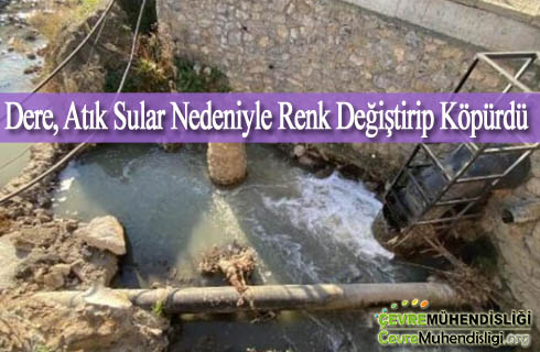 dere atiksular nedeniyle renk degistirip kopurdu