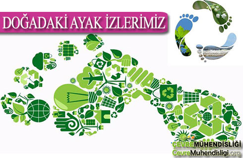 dogadaki ayak izlerimiz