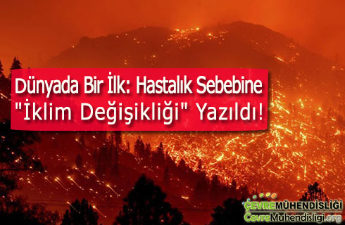dunyada bir ilk hastalik sebebine iklim degisikligi yazildi