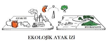 ekolojik ayak izi