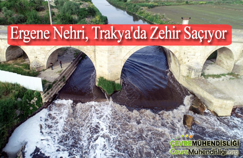 ergene nehri trakyada zehir saciyor