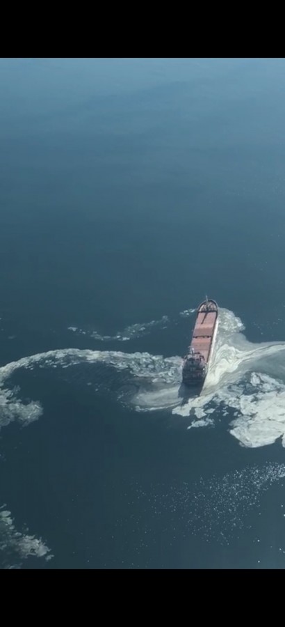 gemlik korfezi kirlilik 1