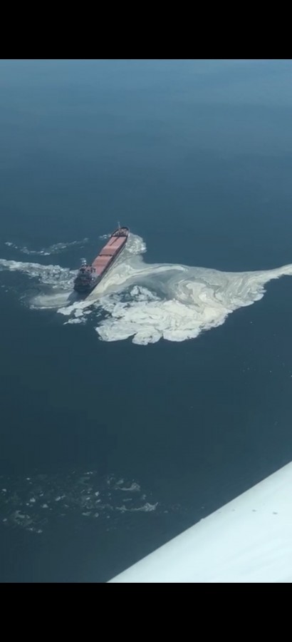 gemlik korfezi kirlilik 2