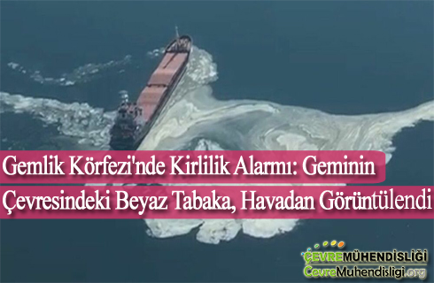 gemlik korfezinde kirlilik 2021