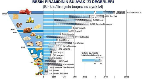gidalarin su ayak izi 6