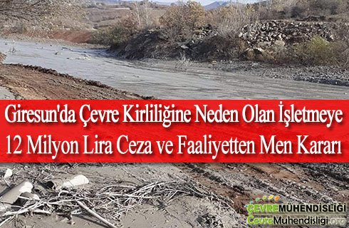 giresunda cevre kirliligine neden olan isletmeye 12 milyon lira ceza ve faaliyetten men