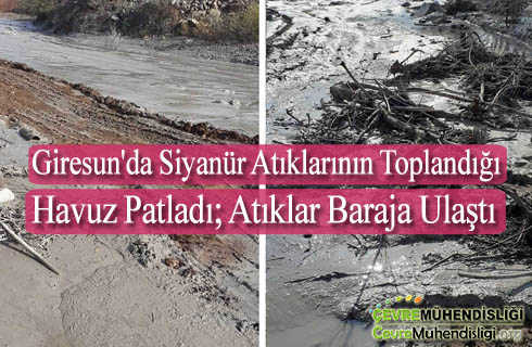 giresunda siyanur atiklarinin toplandigi havuz patladi atiklar baraja ulasti
