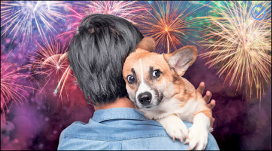 gorsel solen havai fiseklerin ardinda biraktigi zararlar 3