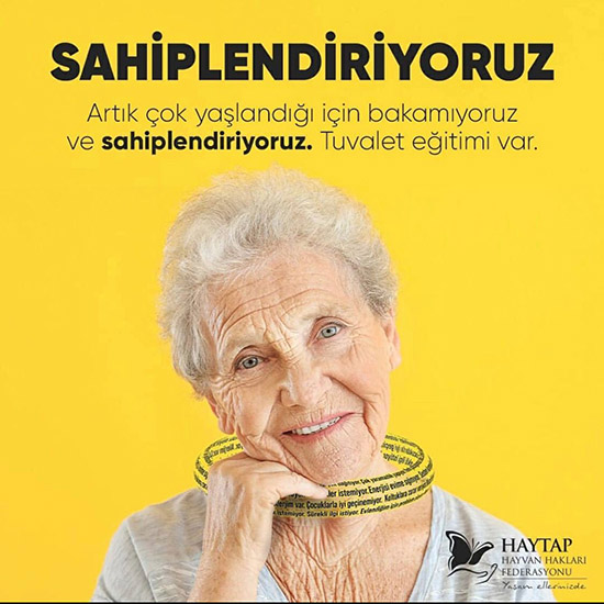 haytap keyfi hayvan sahiplendirmeye tepki gosterdi 1