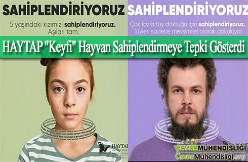 haytap keyfi hayvan sahiplendirmeye tepki gosterdi