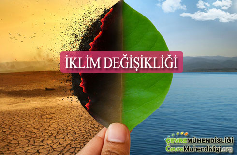 iklim degisikligi makale