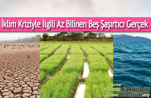 iklim kriziyle ilgili sasirtici gercekler