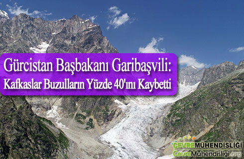 kafkaslar buzullarin yuzde kirkini kaybetti