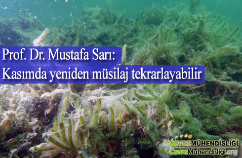 kasimda yeniden musilaj tekrarlayabilir