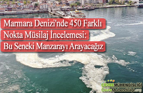marmara denizinde musilaj incelemesi