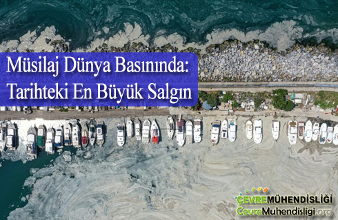 musilaj dunya basininda tarihteki en buyuk salgin