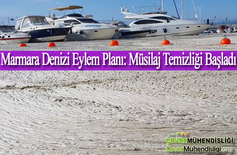 musilaj temizligi basladi