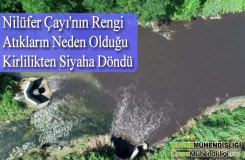 nilufer cayinin rengi atiklarin neden oldugu kirlilikten siyaha dondu