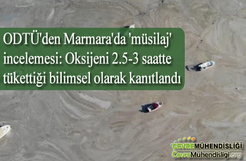 odtuden marmarada musilaj incelemesi