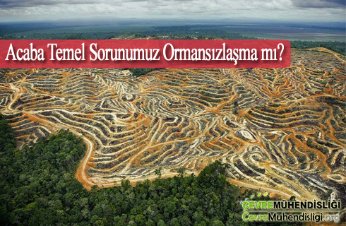 ormansizlasma hakkinda