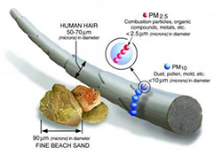 pm 2.5 1