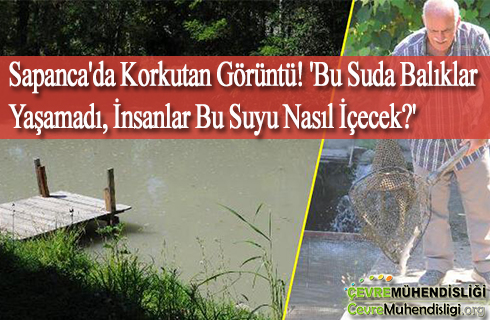 sapancada korkutan goruntu