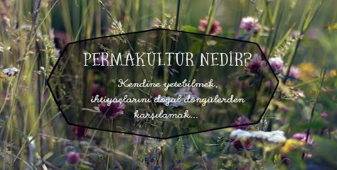 surdurulebilir sehirler 1