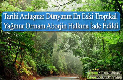 tarihi anlasma dunyanin en eski tropikal yagmur ormani aborjin halkina iade edildi
