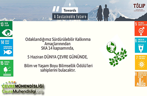 tulip cevre odulu 20 05 2021