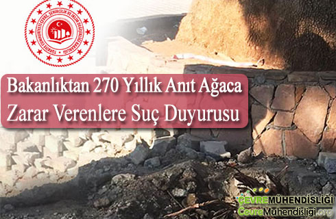 anit agaca zarar verenlere suc duyurusu