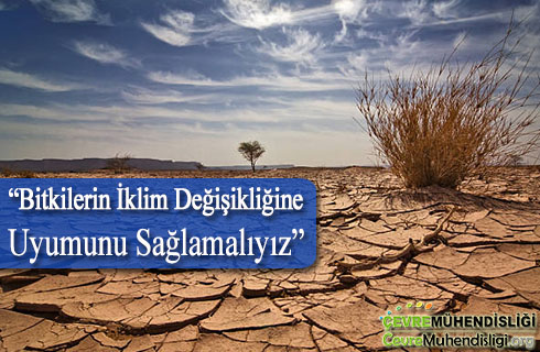 bitkilerin iklim degisikligine uyumunu saglamaliyiz