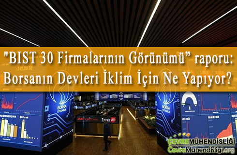 borsanin devleri iklim icin ne yapiyor