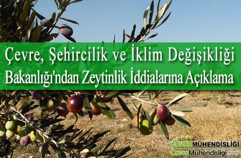 cevre sehircilik ve iklim degisikligi bakanligindan zeytinlik iddialarina aciklama