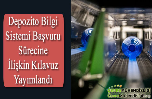 depozito bilgi sistemi basvuru surecine iliskin kilavuz