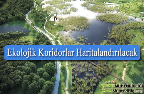 ekolojik koridorlar haritalandirilacak