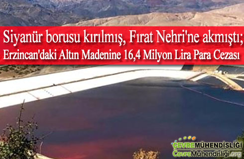 erzincandaki altin madenine ceza