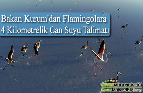 flamingolara 4 kilometrelik can suyu talimati