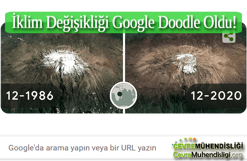 iklim degisikligi google doodle oldu