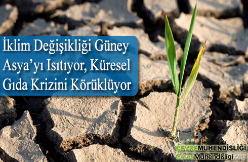 iklim degisikligi kuresel gida krizi