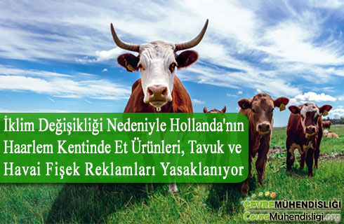 iklim degisikligi nedeniyle et urunleri reklamlari yasaklaniyor