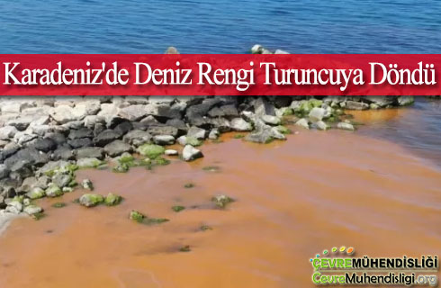 karadenizde deniz rengi turuncaya dondu