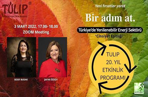 turkiye de yenilenebilir enerji sektoru cinsiyet esitligi